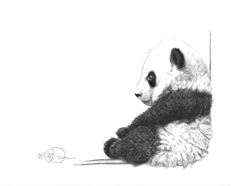 Cute Sitting Panda LE NID atelier illustration art-noise.myshopify.com cute-sitting-panda Cute Sitting Panda LE NID atelier illustration art-noise.myshopify.com cute-sitting-panda