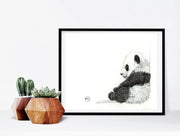 Cute Sitting Panda LE NID atelier illustration art-noise.myshopify.com cute-sitting-panda Cute Sitting Panda LE NID atelier illustration art-noise.myshopify.com cute-sitting-panda