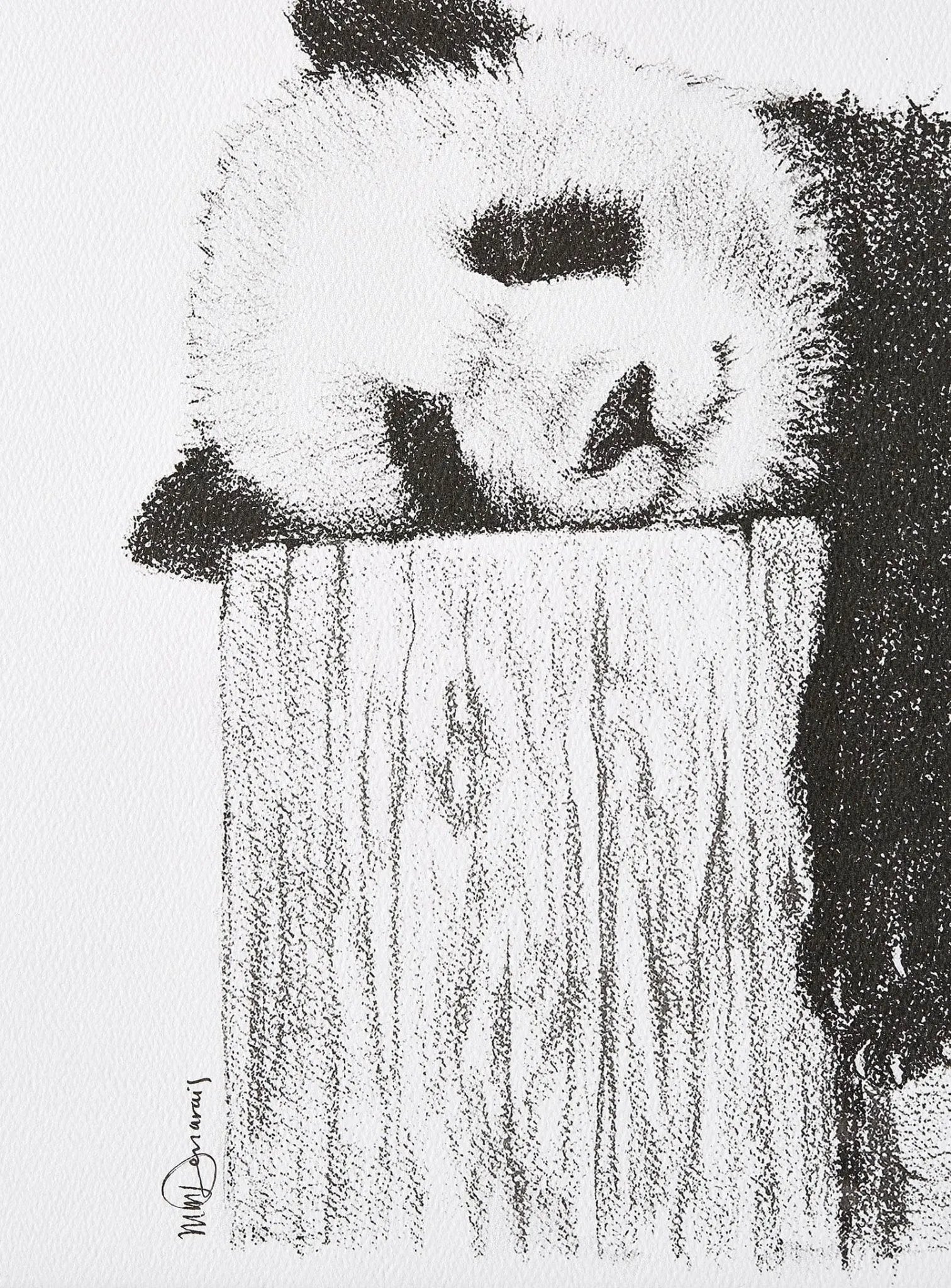 Cute sleeping Panda LE NID atelier illustration art-noise.myshopify.com cute-sleeping-panda Cute sleeping Panda LE NID atelier illustration art-noise.myshopify.com cute-sleeping-panda