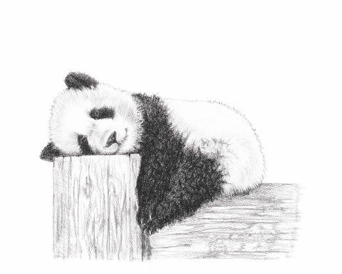Cute sleeping Panda LE NID atelier illustration art-noise.myshopify.com cute-sleeping-panda Cute sleeping Panda LE NID atelier illustration art-noise.myshopify.com cute-sleeping-panda