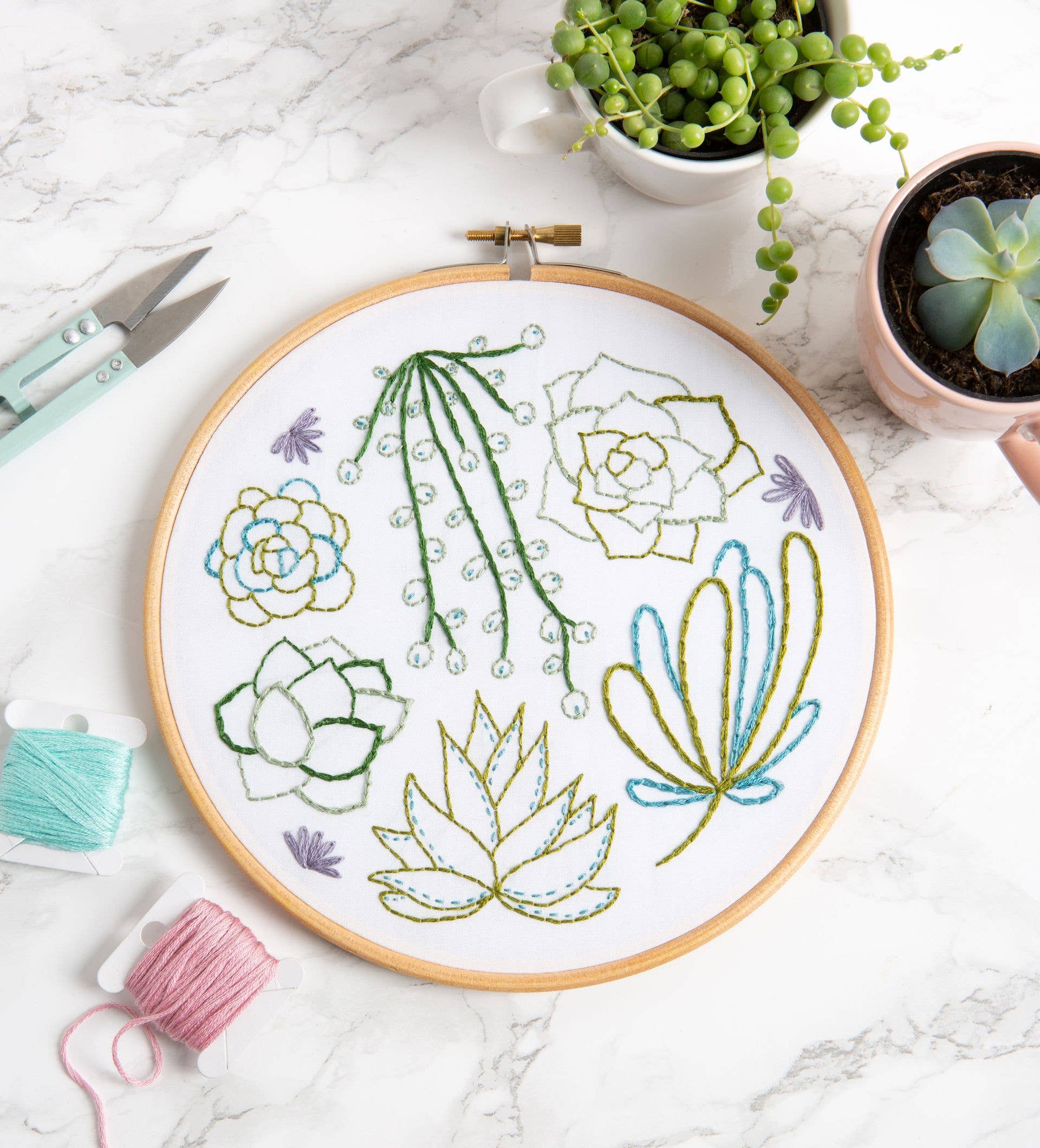 Succulents Embroidery Kit | Complete Craft Kit for Beginners
