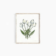 Tulips Emma Allen Design Studio Print art-noise.myshopify.com tulips Tulips Emma Allen Design Studio Print art-noise.myshopify.com tulips