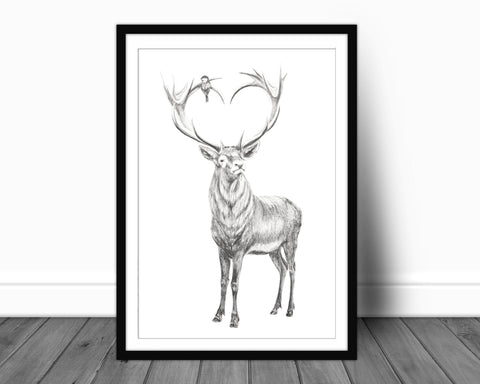 Deer with heart shaped antlers