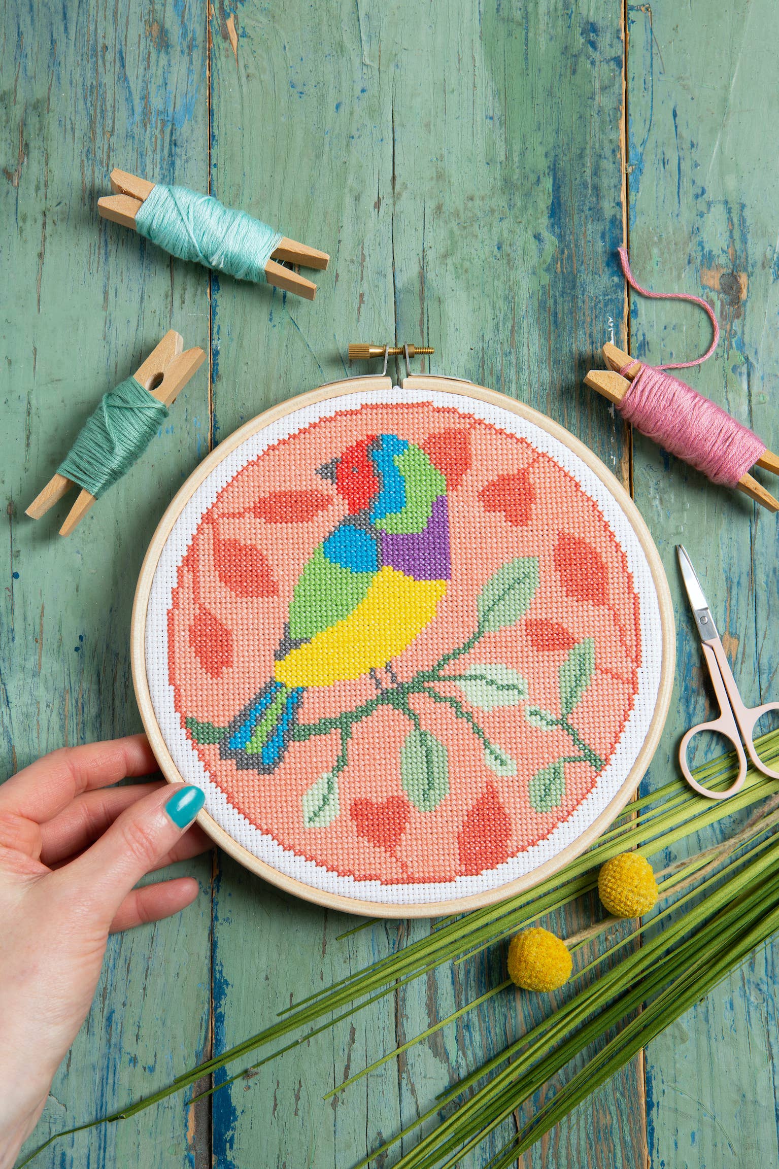 Rainbow Finch Cross Stitch Kit | Beginner Craft Kit