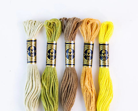 DMC Cotton Embroidery Floss - Light Earth Tones - Art Noise DMC Cotton Embroidery Floss - Light Earth Tones DMC Embroidery Floss art-noise.myshopify.com dmc-cotton-embroidery-floss-light-earth-tones DMC Cotton Embroidery Floss - Light Earth Tones DMC Embroidery Floss art-noise.myshopify.com dmc-cotton-embroidery-floss-light-earth-tones