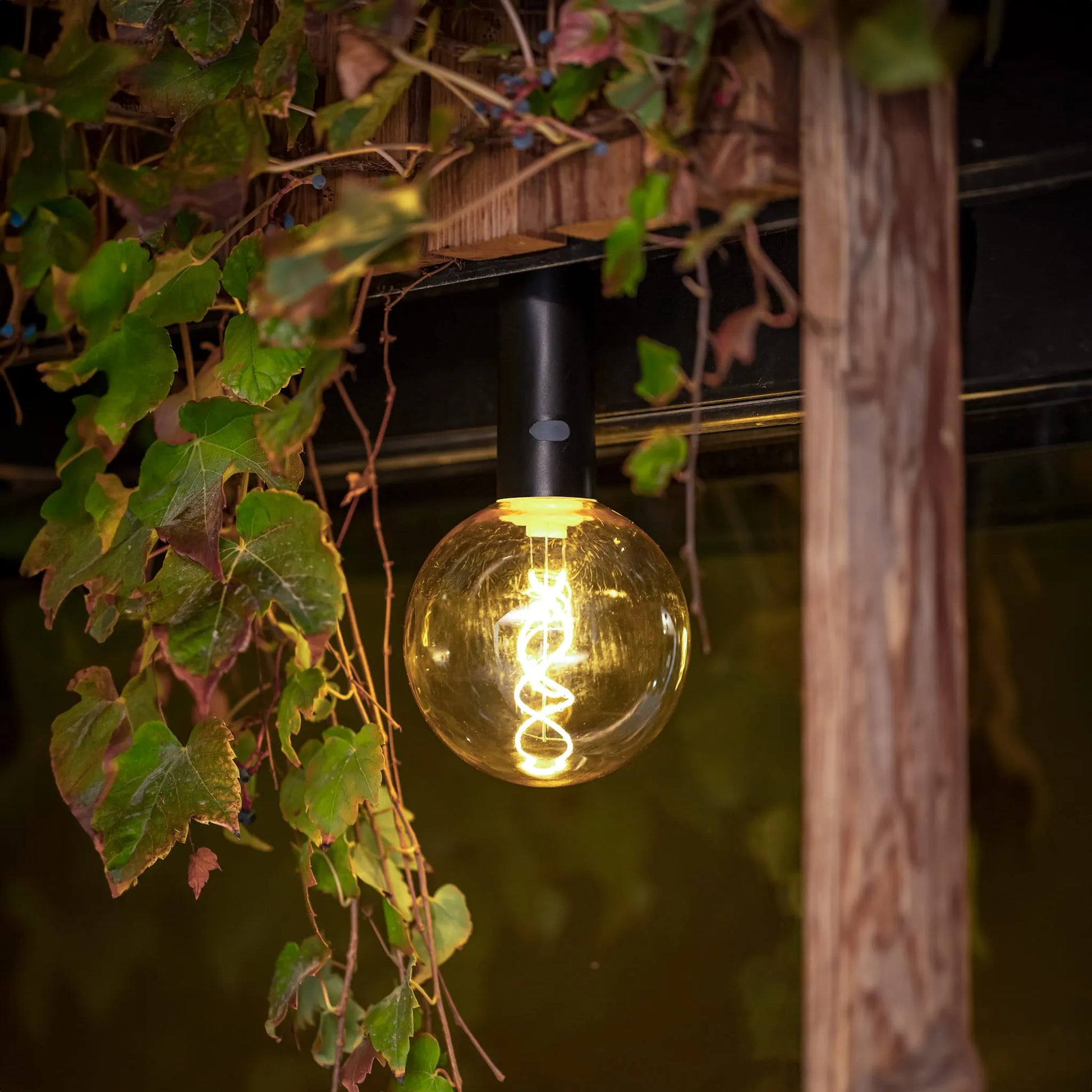 Edy G125 Nüline Distribution Night Lights & Ambient Lighting art-noise.myshopify.com edy-g125 Edy G125 Nüline Distribution Night Lights & Ambient Lighting art-noise.myshopify.com edy-g125