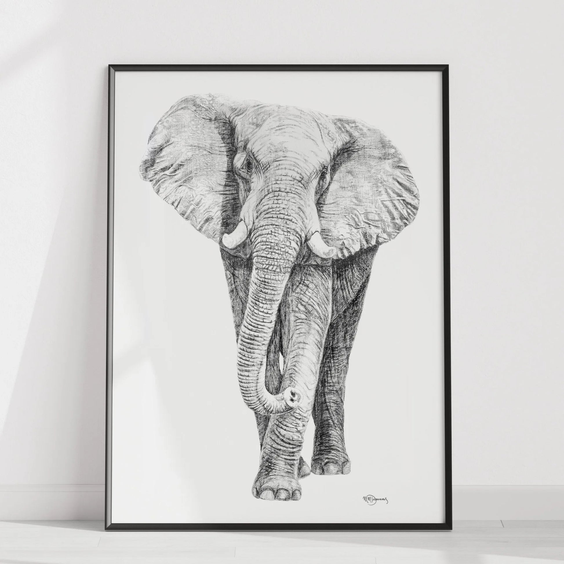  Elephant illustration - collaboration with La Fondation du Zoo de Granby LE NID atelier illustration art-noise.myshopify.com elephant-illustration-collaboration-with-la-fondation-du-zoo-de-granby