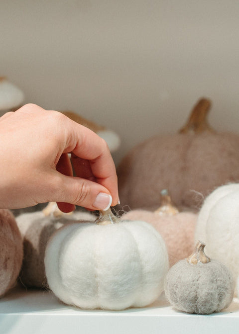 Felt Pumpkin - White Clementine Home Floral Gift product_type art-noise.myshopify.com felt-pumpkin-white