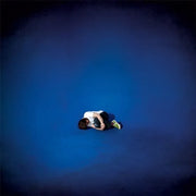 Gibby Haynes - Paul's on Fire, You Don't Have to Be Smart b/w Horse Named George - 7" - TMR179 - Art Noise Gibby Haynes - Paul's on Fire, You Don't Have to Be Smart b/w Horse Named George - 7" - TMR179 Triart  art-noise.myshopify.com gibby-haynes-pauls-on-fire-you-dont-have-to-be-smart-b-w-horse-named-george-7-tmr179