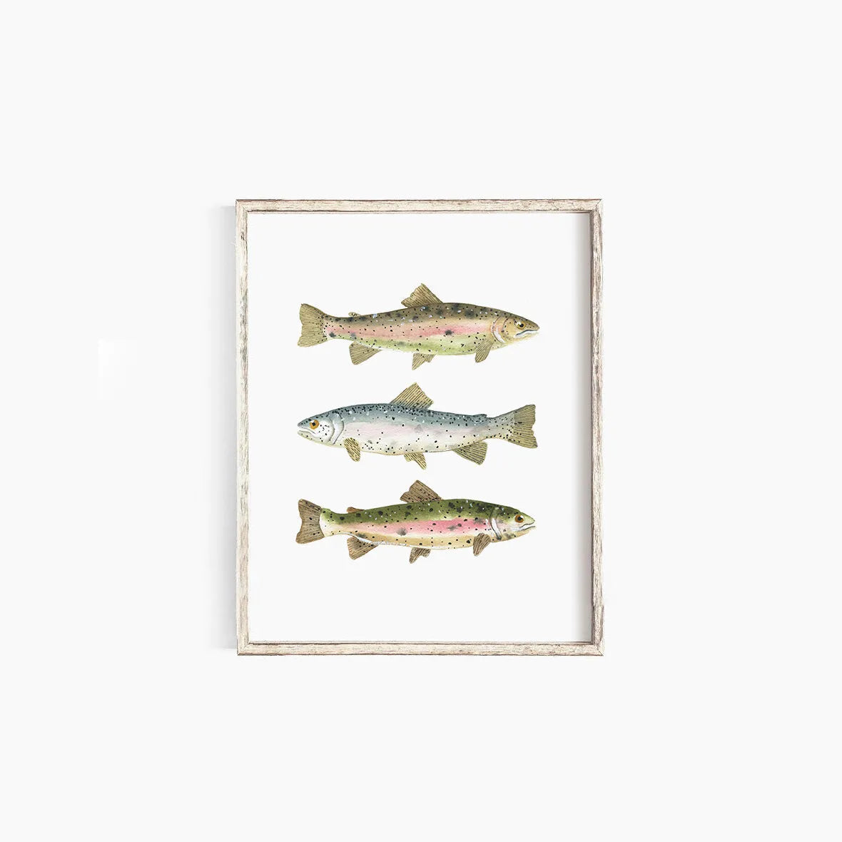 Rainbow Trout Emma Allen Design Studio Print art-noise.myshopify.com rainbow-trout Rainbow Trout Emma Allen Design Studio Print art-noise.myshopify.com rainbow-trout