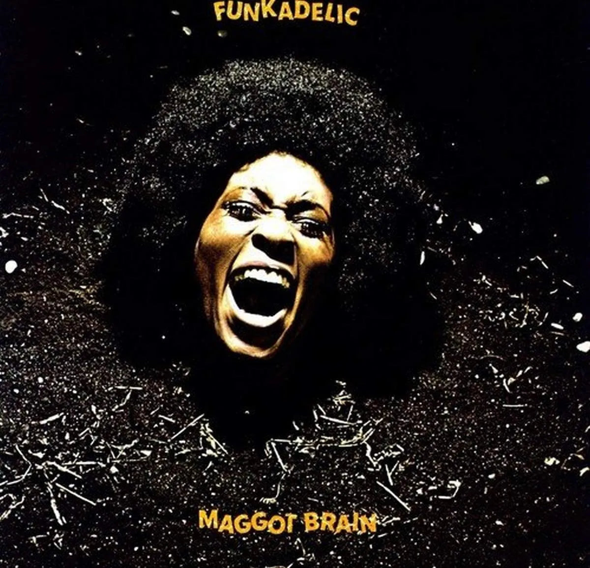 Funkadelic - Maggot Brain (LP) - Art Noise Funkadelic - Maggot Brain (LP) Art Noise Music Records art-noise.myshopify.com funkadelic-maggot-brain-lp Funkadelic - Maggot Brain (LP) Art Noise Music Records art-noise.myshopify.com funkadelic-maggot-brain-lp
