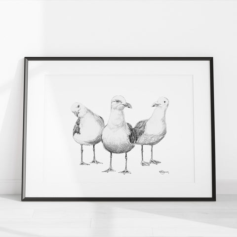 Funny Seagulls  - illustration
