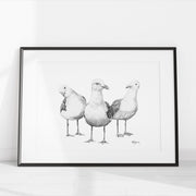 Funny Seagulls  - illustration LE NID atelier illustration art-noise.myshopify.com funny-seagulls-illustration Funny Seagulls  - illustration LE NID atelier illustration art-noise.myshopify.com funny-seagulls-illustration