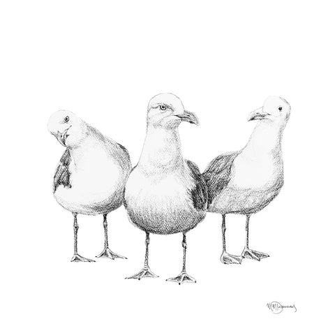 Funny Seagulls  - illustration