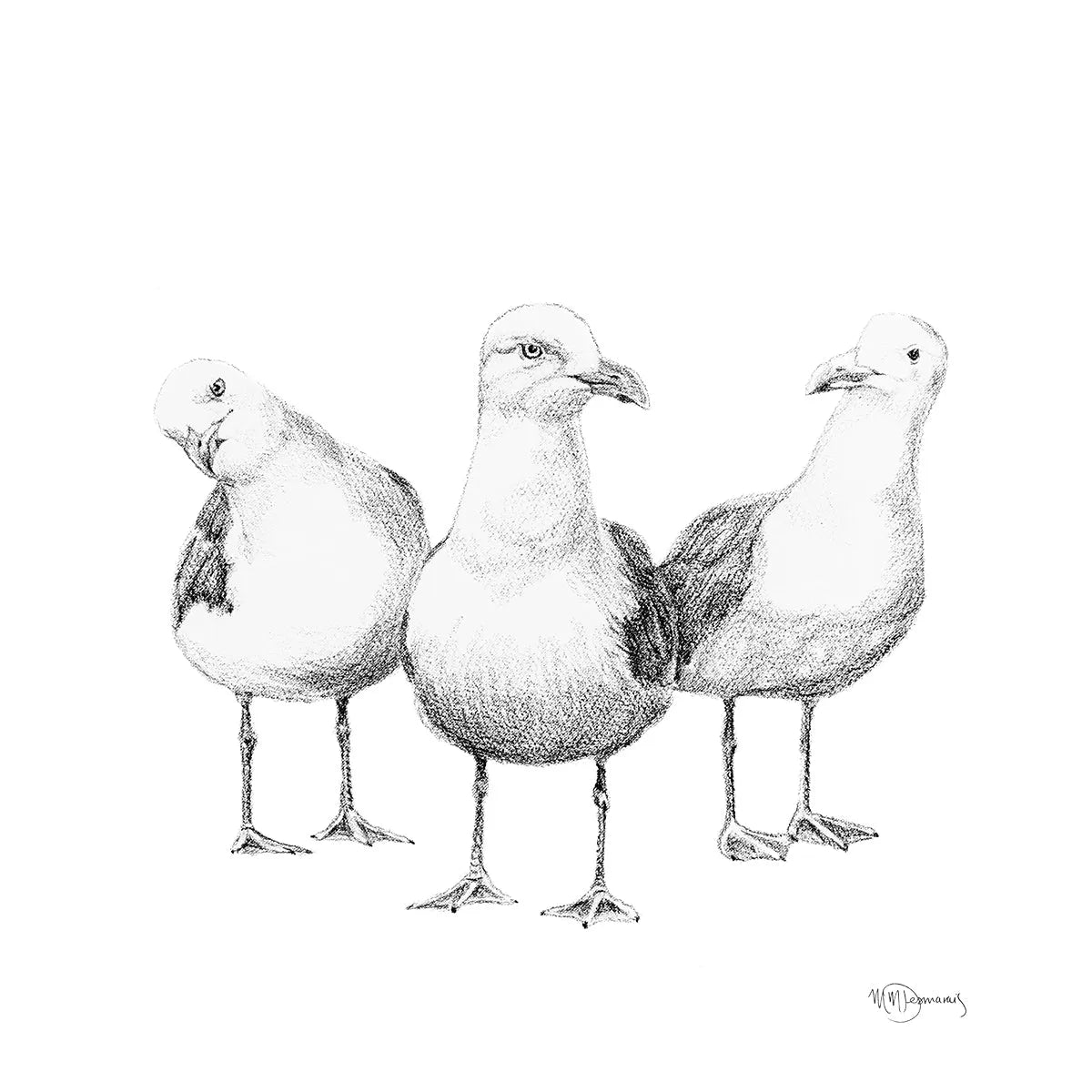 Funny Seagulls  - illustration LE NID atelier illustration art-noise.myshopify.com funny-seagulls-illustration Funny Seagulls  - illustration LE NID atelier illustration art-noise.myshopify.com funny-seagulls-illustration