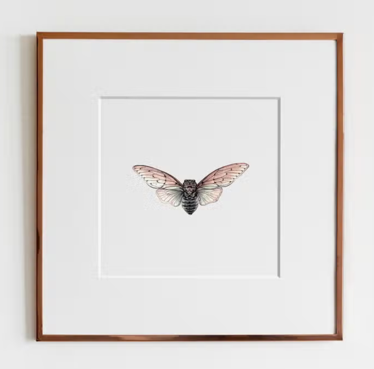 ElizabethAnnFrancis - Ghost Cicada (Ayuthia Spectacle) Print