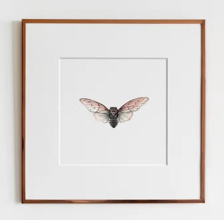 ElizabethAnnFrancis - Ghost Cicada (Ayuthia Spectacle) Print - Art Noise ElizabethAnnFrancis - Ghost Cicada (Ayuthia Spectacle) Print ElizabethAnnFrancis Fine Art Prints art-noise.myshopify.com elizabethannfrancis-ghost-cicada-ayuthia-spectacle-print-1 ElizabethAnnFrancis - Ghost Cicada (Ayuthia Spectacle) Print ElizabethAnnFrancis Fine Art Prints art-noise.myshopify.com elizabethannfrancis-ghost-cicada-ayuthia-spectacle-print-1