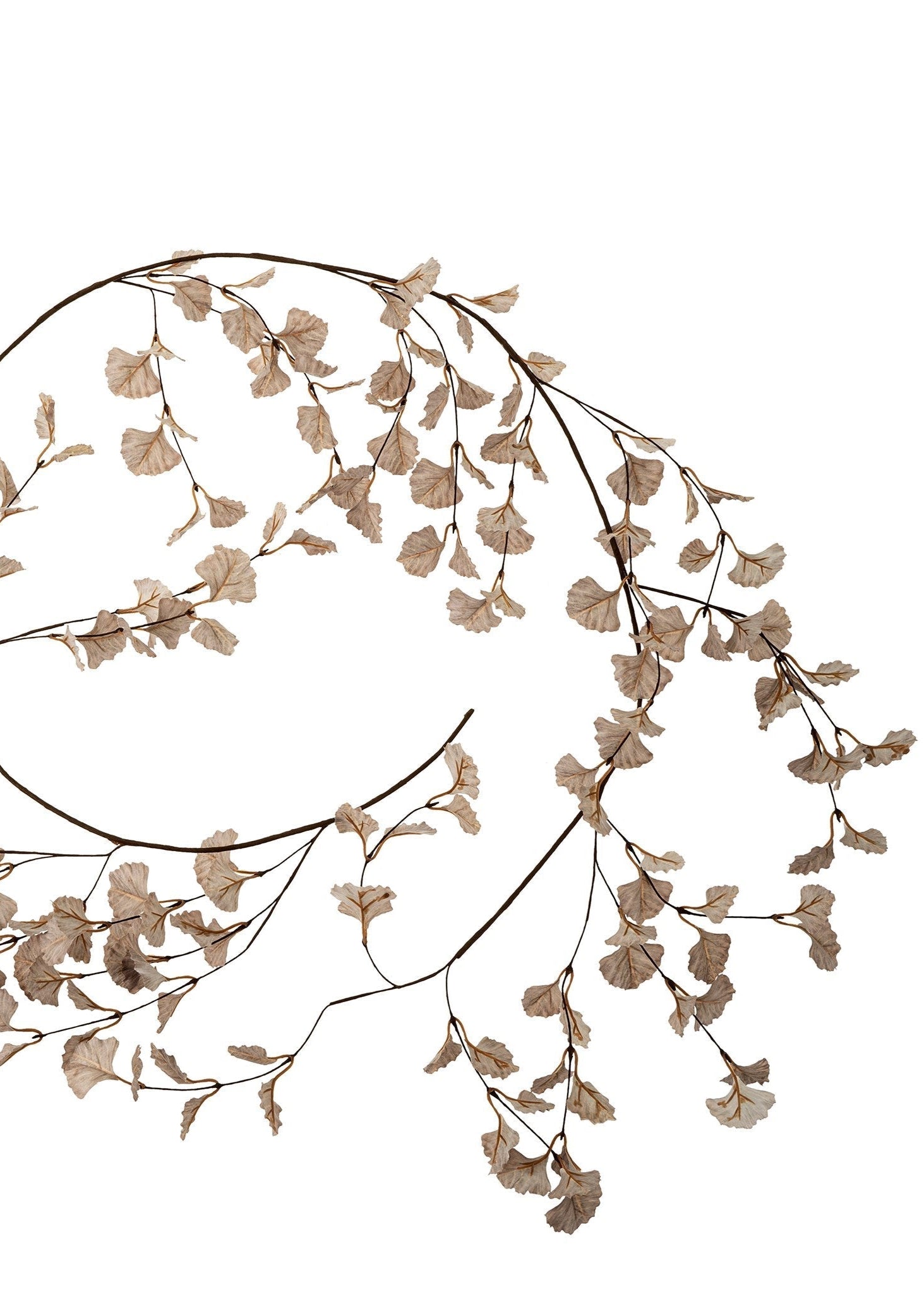Ginkgo Garland