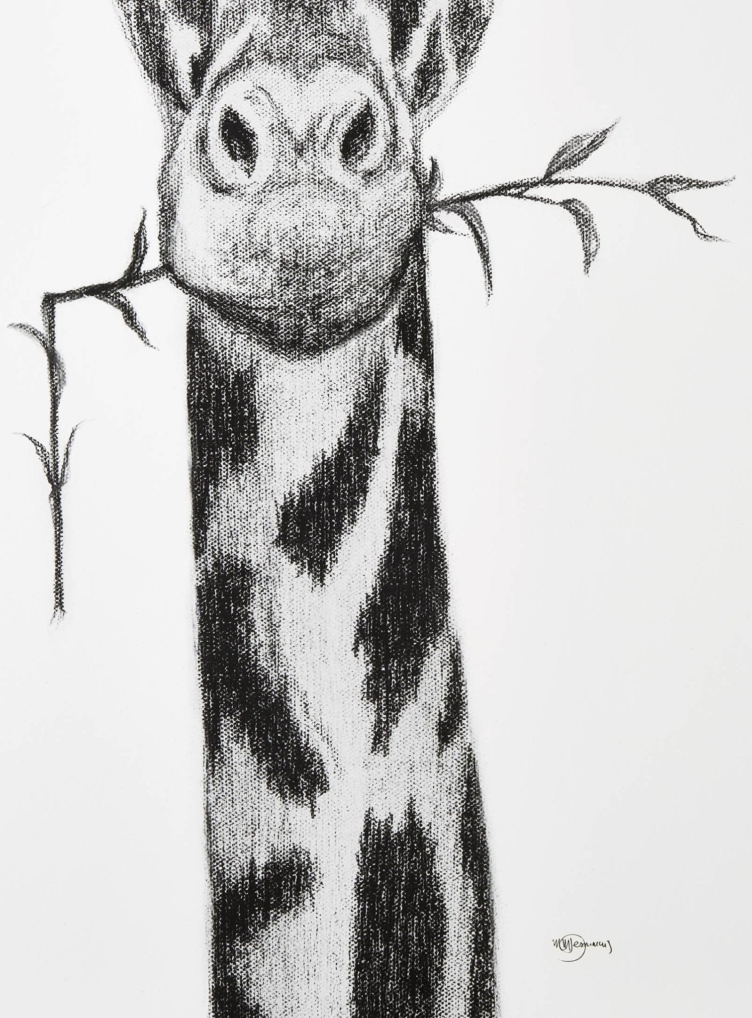 Giraffe Portrait
