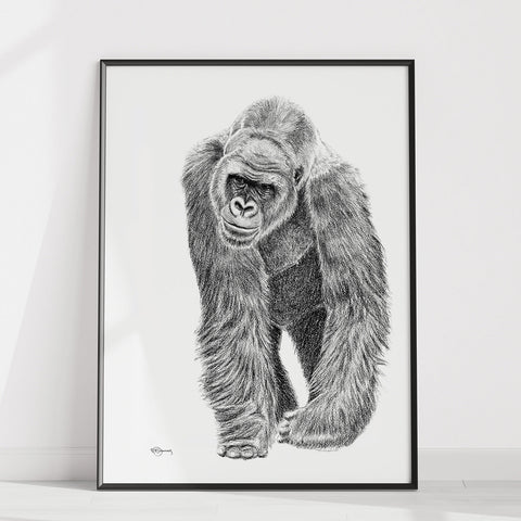 Gorilla illustration - collaboration with La Fondation du Zoo de Granby