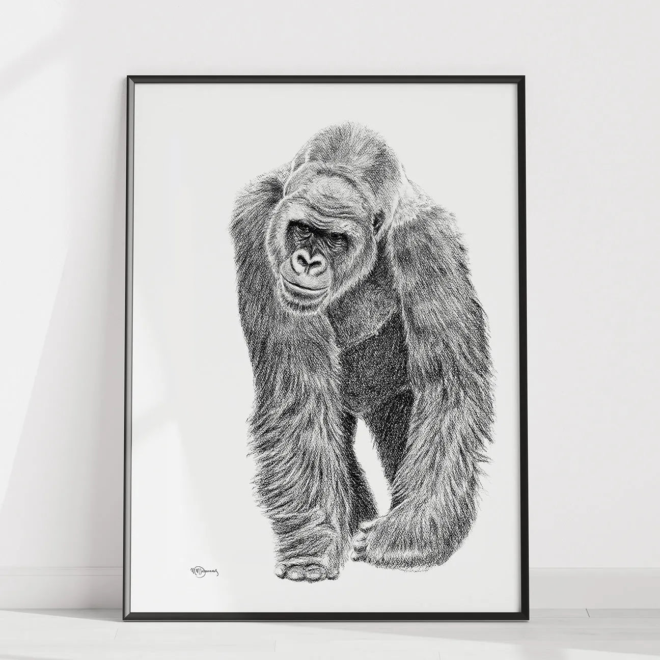  Gorilla illustration - collaboration with La Fondation du Zoo de Granby LE NID atelier illustration art-noise.myshopify.com gorilla-illustration-collaboration-with-la-fondation-du-zoo-de-granby
