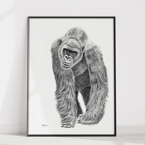  Gorilla illustration - collaboration with La Fondation du Zoo de Granby LE NID atelier illustration art-noise.myshopify.com gorilla-illustration-collaboration-with-la-fondation-du-zoo-de-granby