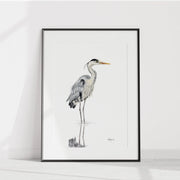  Heron NO 1 - Colored Blue Heron in water illustration LE NID atelier illustration art-noise.myshopify.com heron-no-1-colored-blue-heron-in-water-illustration