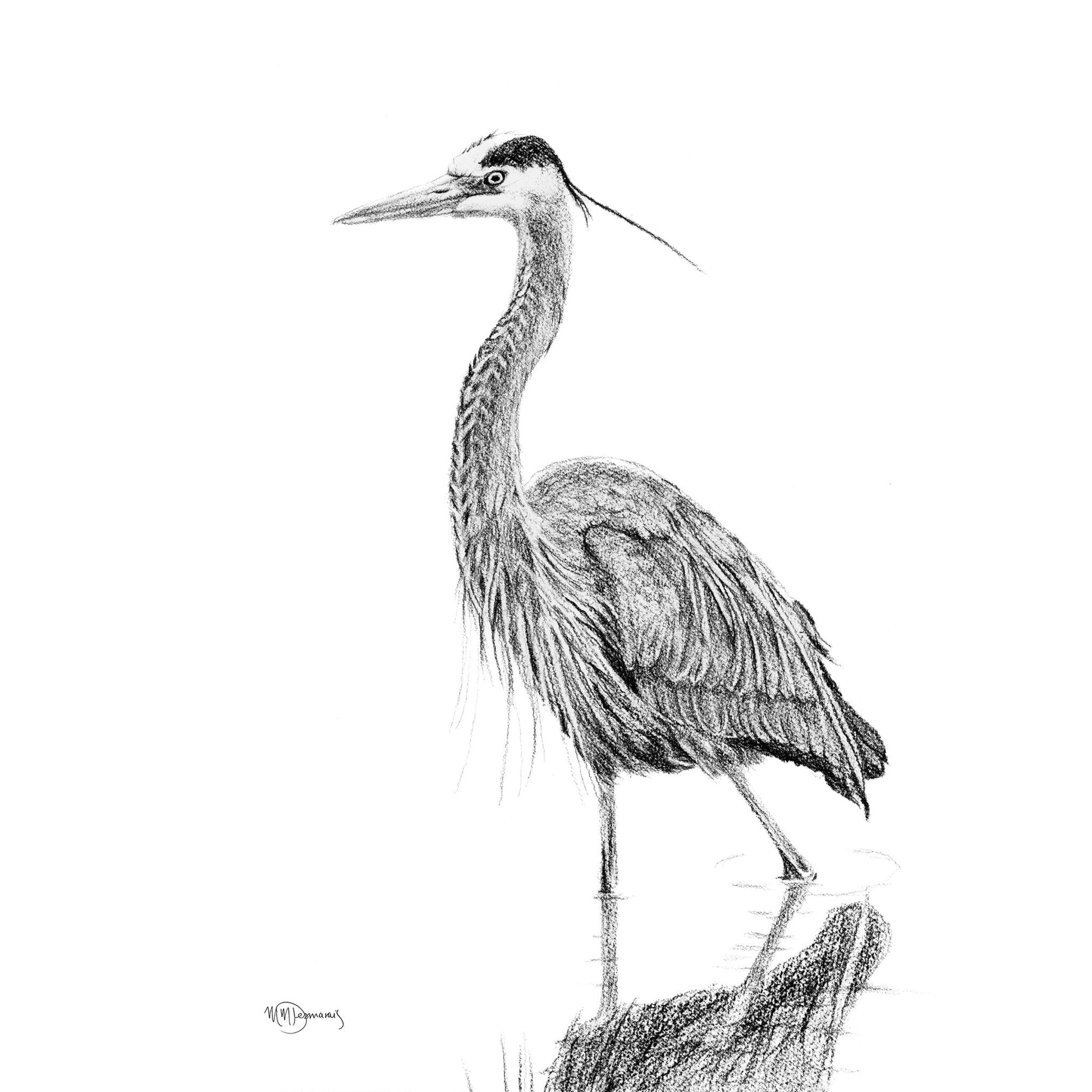 Heron NO 2 - Blue Heron in water illustration LE NID atelier illustration art-noise.myshopify.com heron-no-2-blue-heron-in-water-illustration
