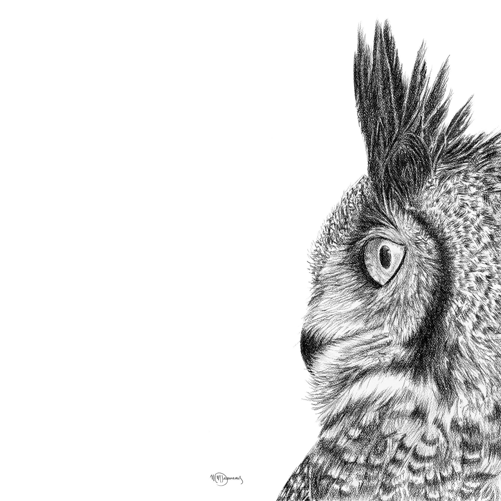 Great horned owl LE NID atelier illustration art-noise.myshopify.com great-horned-owl Great horned owl LE NID atelier illustration art-noise.myshopify.com great-horned-owl
