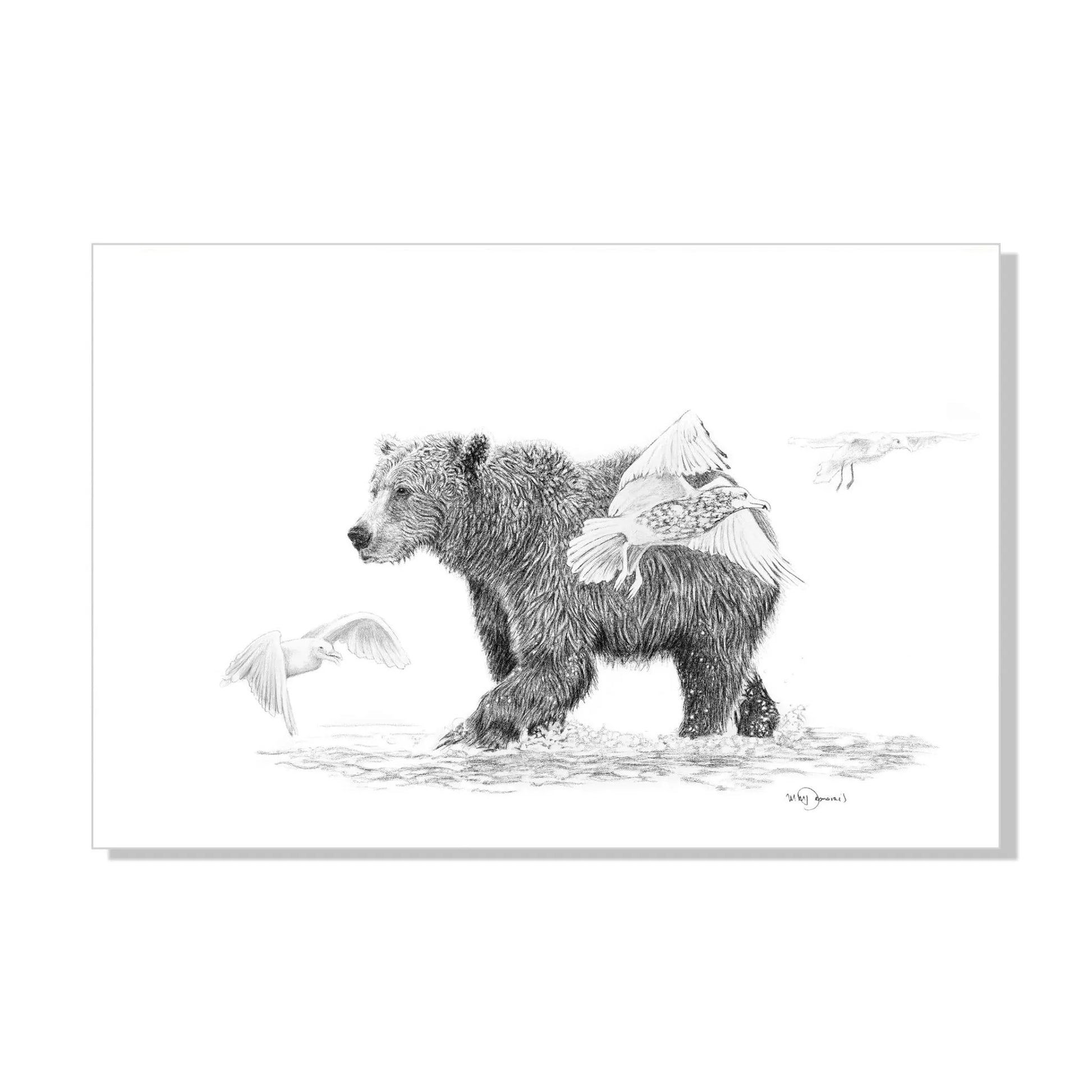 Grizzly with Birds LE NID atelier illustration art-noise.myshopify.com grizzly-with-birds Grizzly with Birds LE NID atelier illustration art-noise.myshopify.com grizzly-with-birds