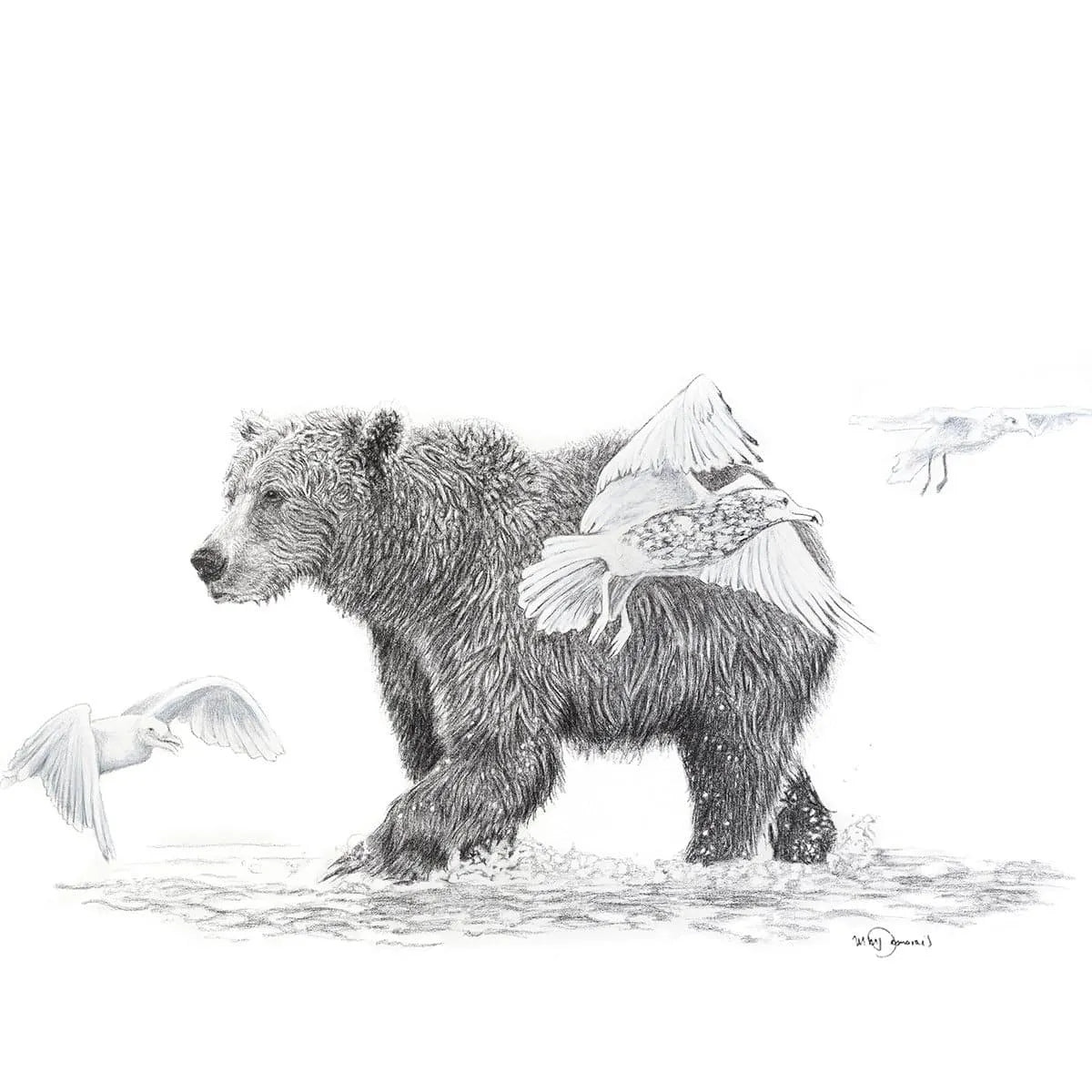 Grizzly with Birds LE NID atelier illustration art-noise.myshopify.com grizzly-with-birds Grizzly with Birds LE NID atelier illustration art-noise.myshopify.com grizzly-with-birds