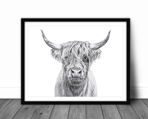 Highland Cow Portrait