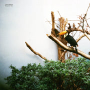 Jacob Bellens - Polyester Skin (LP) - Art Noise Jacob Bellens - Polyester Skin (LP) Art Noise Music Records art-noise.myshopify.com jacob-bellens-polyester-skin-lp Jacob Bellens - Polyester Skin (LP) Art Noise Music Records art-noise.myshopify.com jacob-bellens-polyester-skin-lp