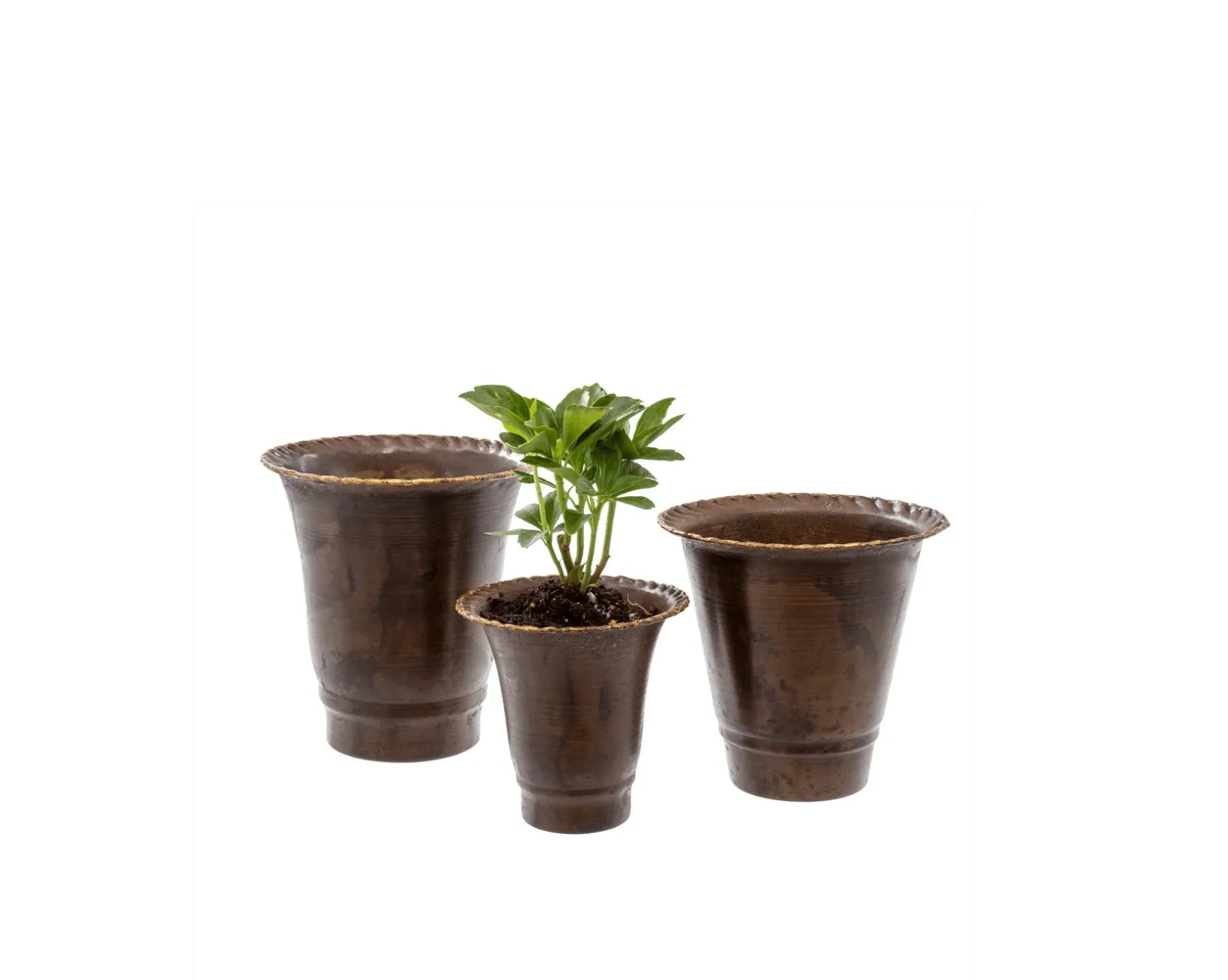 Leather Effect Trumpet Pots – Set of 3 Clementine Home Floral Gift product_type art-noise.myshopify.com leather-effect-trumpet-pots-set-of-3 Leather Effect Trumpet Pots – Set of 3 Clementine Home Floral Gift  art-noise.myshopify.com leather-effect-trumpet-pots-set-of-3