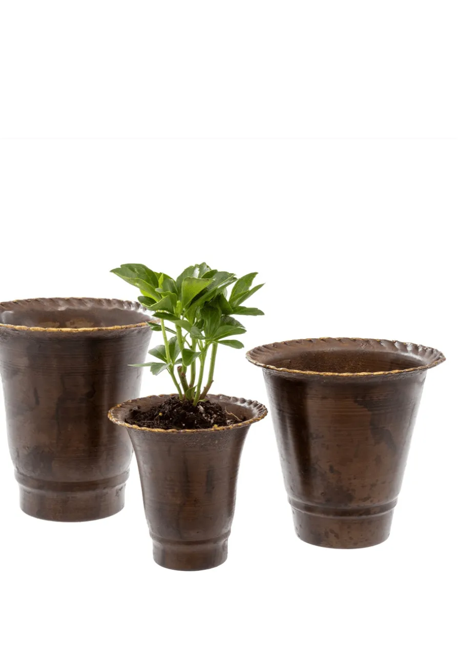 Leather Effect Trumpet Pots – Set of 3 Clementine Home Floral Gift product_type art-noise.myshopify.com leather-effect-trumpet-pots-set-of-3 Leather Effect Trumpet Pots – Set of 3 Clementine Home Floral Gift  art-noise.myshopify.com leather-effect-trumpet-pots-set-of-3