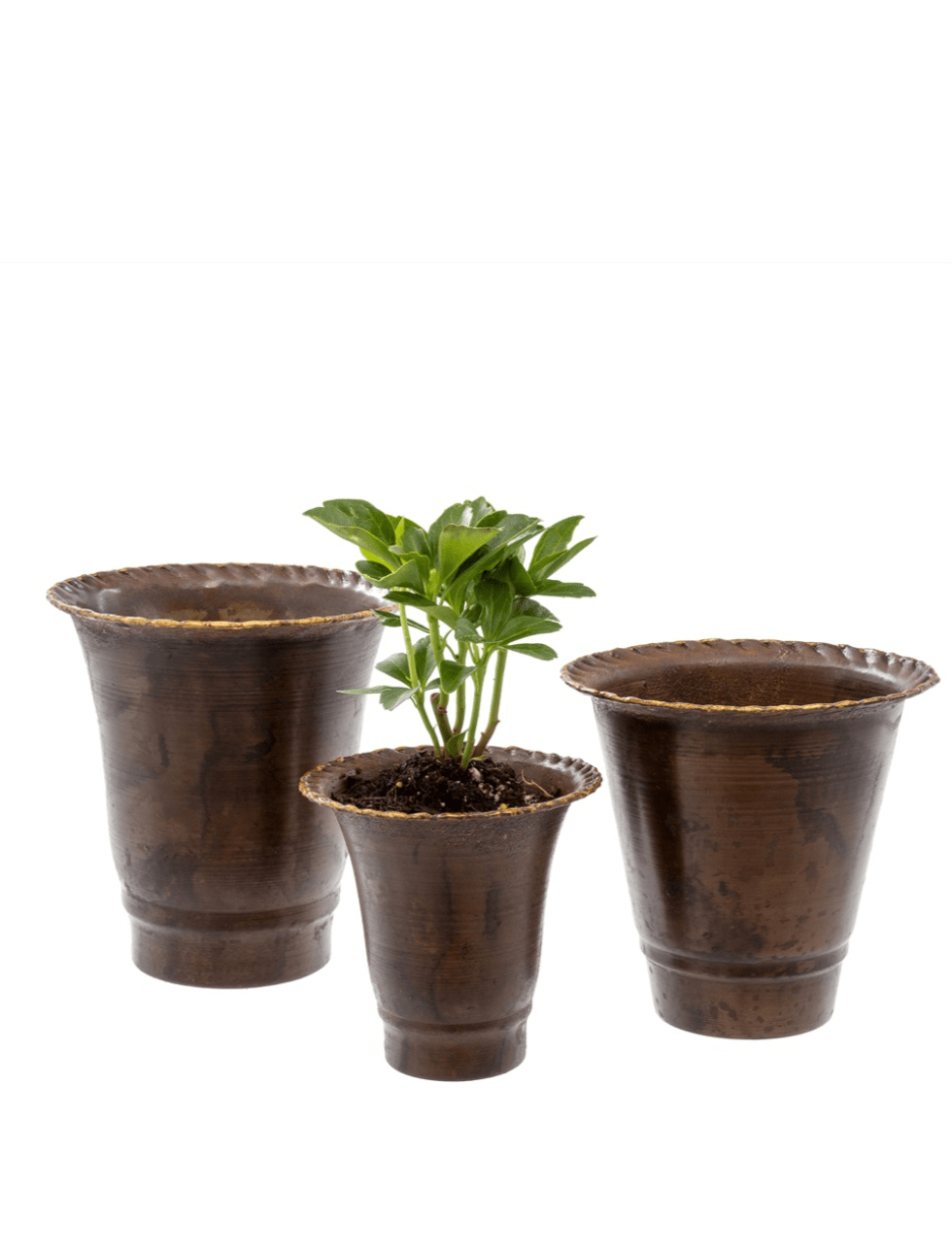 Leather Effect Trumpet Pots – Set of 3 Clementine Home Floral Gift product_type art-noise.myshopify.com leather-effect-trumpet-pots-set-of-3