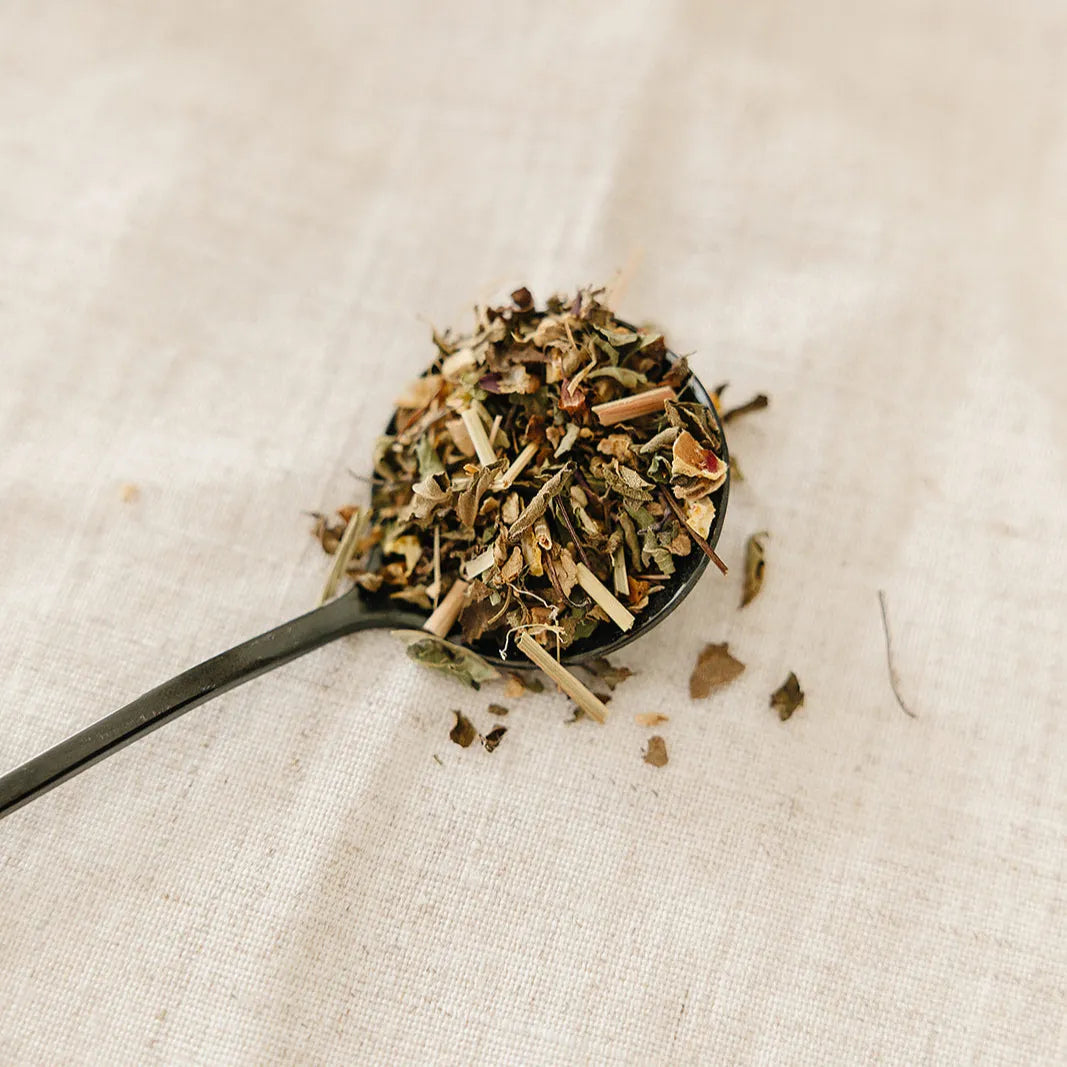 Organic Lemon Ginger Tulsi Tea Bush Berry TEA art-noise.myshopify.com organic-lemon-ginger-tulsi-tea Organic Lemon Ginger Tulsi Tea Bush Berry TEA art-noise.myshopify.com organic-lemon-ginger-tulsi-tea