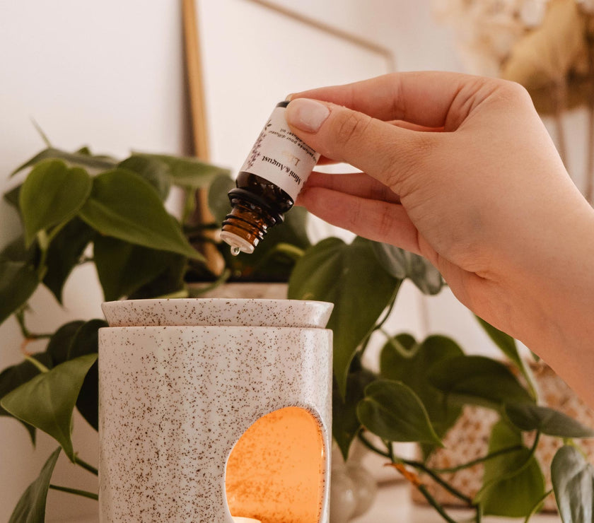 Scented Oil - Lilac