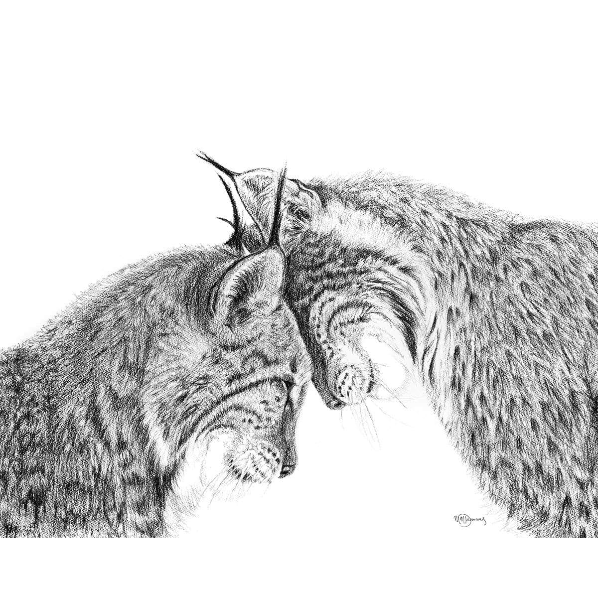 Lynx in love illustration - "Social Animal" Collection LE NID atelier illustration art-noise.myshopify.com lynx-in-love-illustration-social-animal-collection