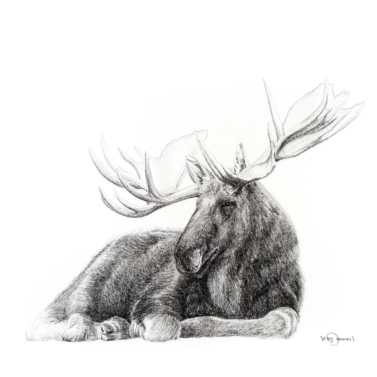 Majestic Moose LE NID atelier illustration art-noise.myshopify.com majestic-moose Majestic Moose LE NID atelier illustration art-noise.myshopify.com majestic-moose