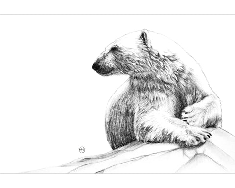 Polar Bear Smiling LE NID atelier illustration art-noise.myshopify.com polar-bear-smiling Polar Bear Smiling LE NID atelier illustration art-noise.myshopify.com polar-bear-smiling