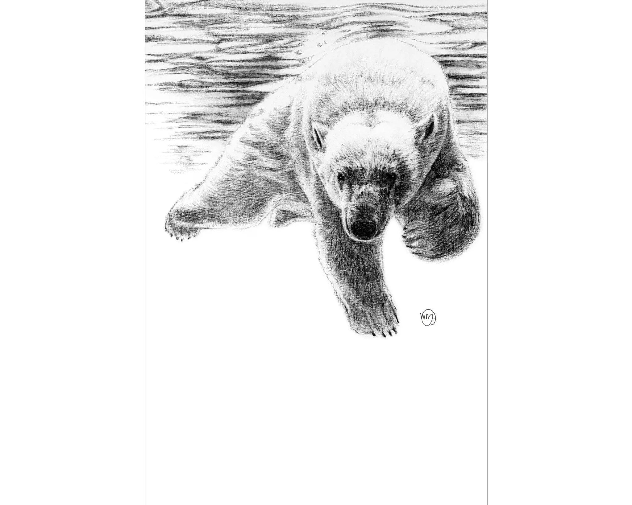 Polar Bear Swimming LE NID atelier illustration art-noise.myshopify.com polar-bear-swimming Polar Bear Swimming LE NID atelier illustration art-noise.myshopify.com polar-bear-swimming