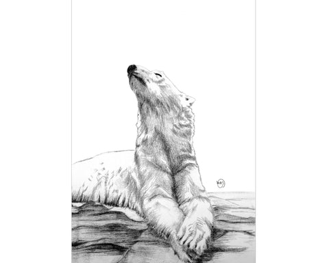 Polar Bear Sunbath Print