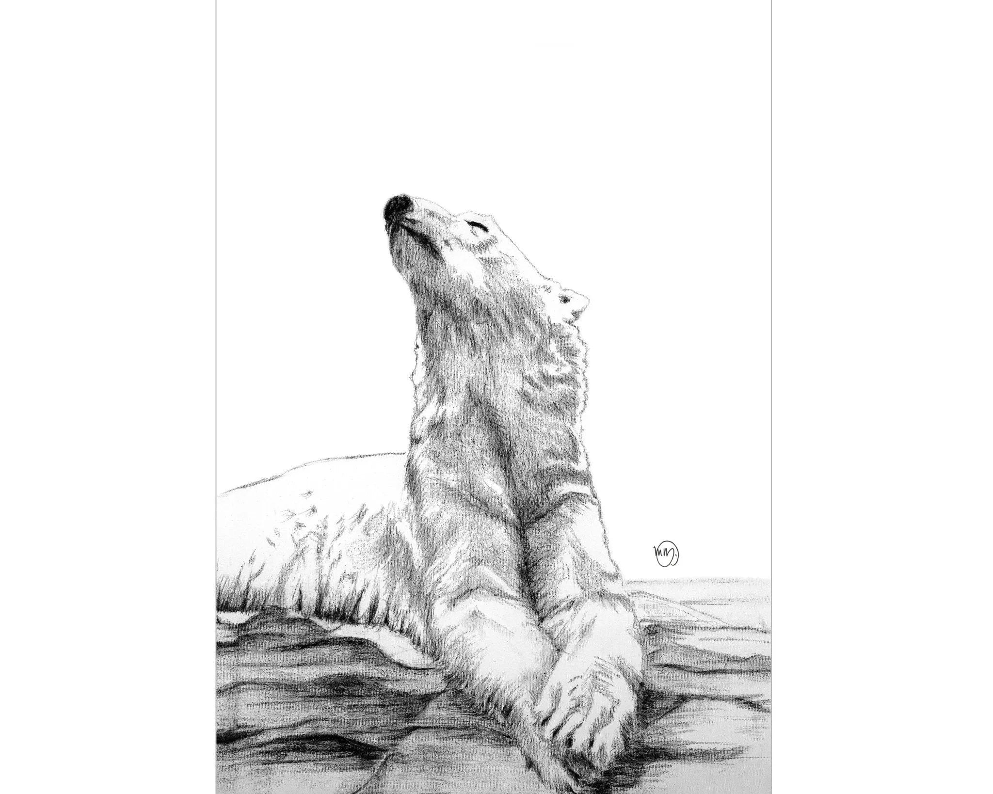 Polar Bear Sunbath Print LE NID atelier illustration art-noise.myshopify.com polar-bear-sunbath-print Polar Bear Sunbath Print LE NID atelier illustration art-noise.myshopify.com polar-bear-sunbath-print