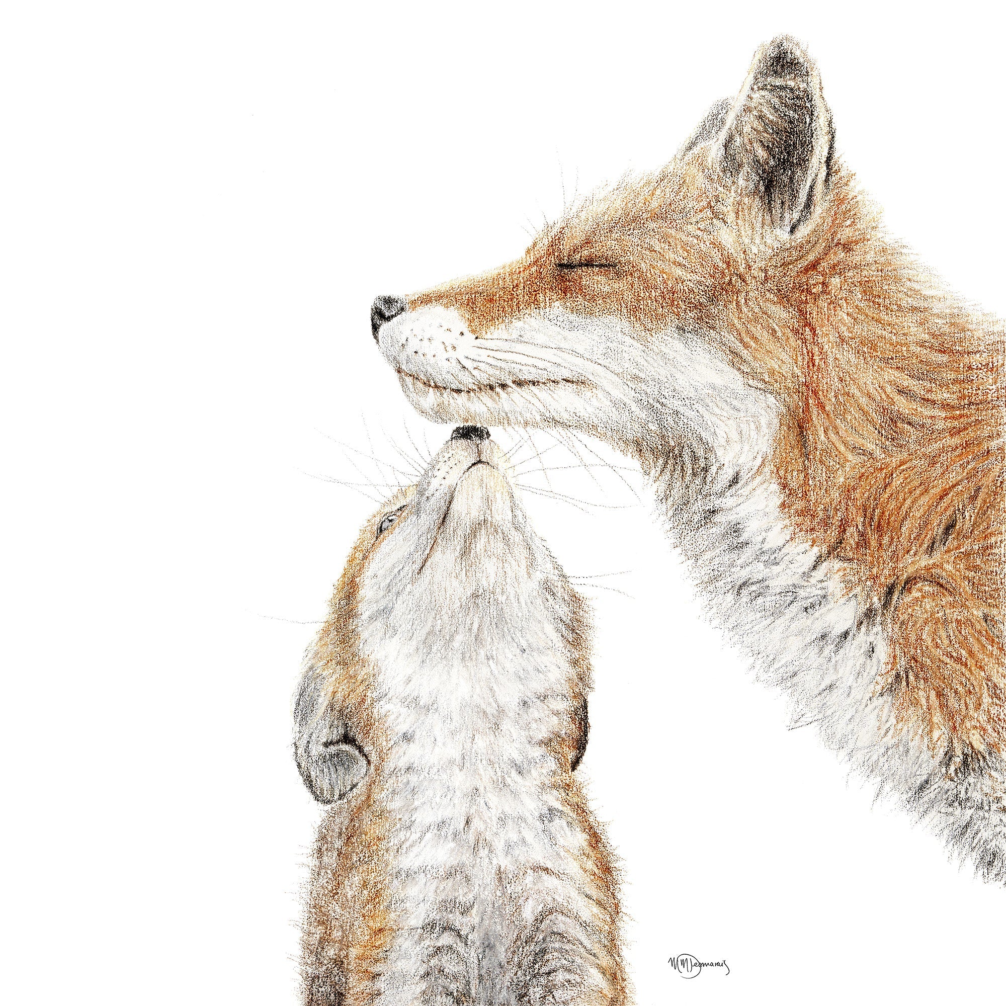 Mama Fox with baby - Color