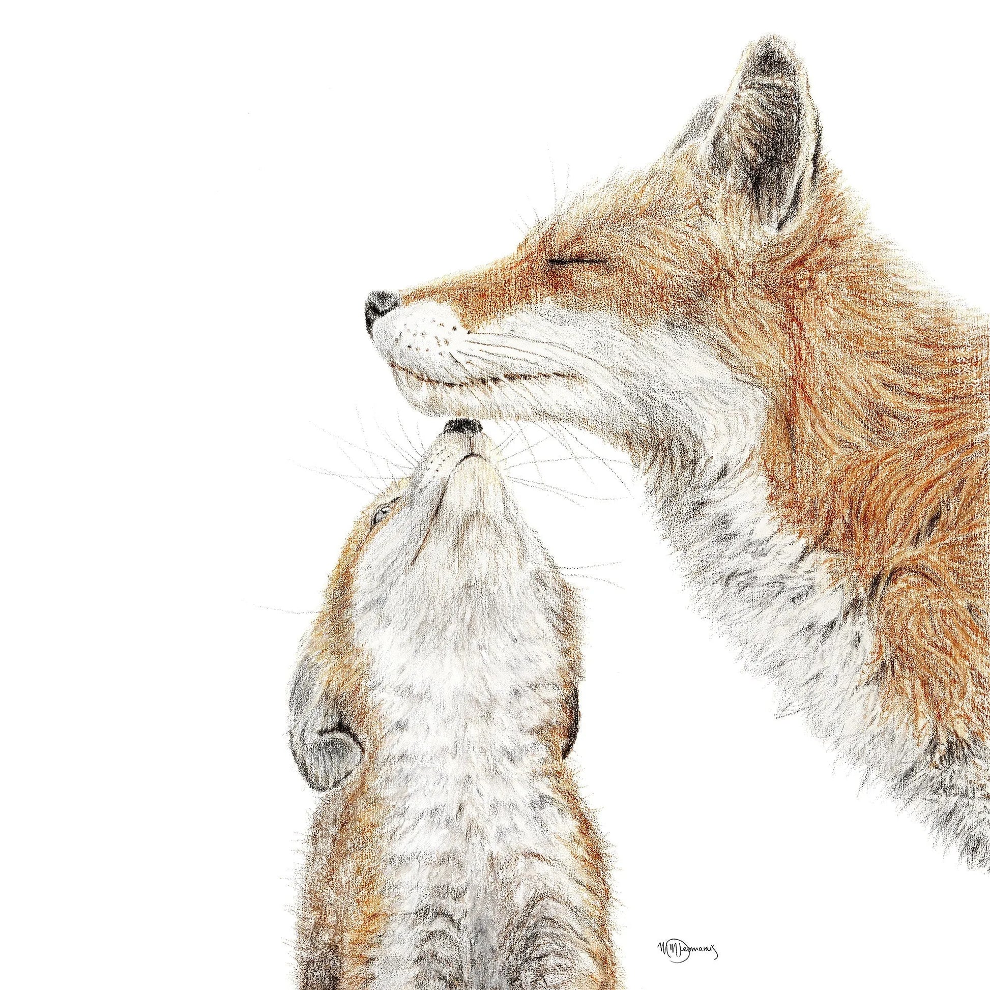 Mama Fox with baby - Color LE NID atelier illustration art-noise.myshopify.com mama-fox-with-baby-color Mama Fox with baby - Color LE NID atelier illustration art-noise.myshopify.com mama-fox-with-baby-color