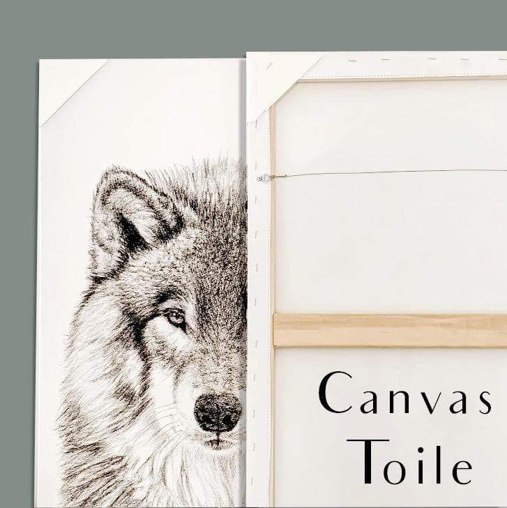 Canada Goose Illustration
