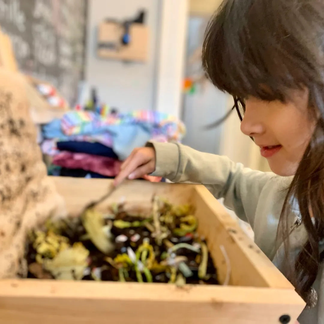 Mini Worm Studio The Box Of Life product_type art-noise.myshopify.com mini-worm-studio Mini Worm Studio The Box Of Life  art-noise.myshopify.com mini-worm-studio