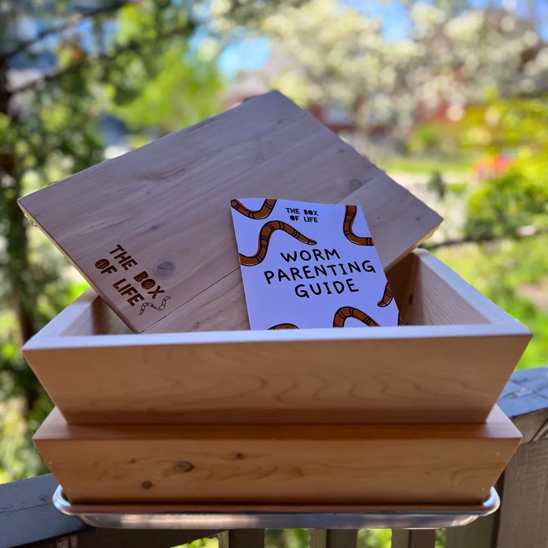 Mini Worm Studio The Box Of Life product_type art-noise.myshopify.com mini-worm-studio Mini Worm Studio The Box Of Life  art-noise.myshopify.com mini-worm-studio