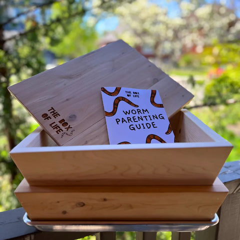 Mini Worm Studio The Box Of Life product_type art-noise.myshopify.com mini-worm-studio Mini Worm Studio The Box Of Life  art-noise.myshopify.com mini-worm-studio